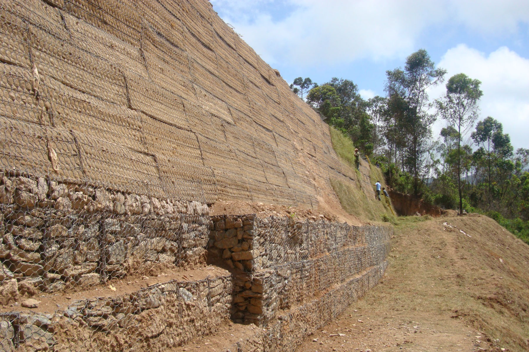 ￼￼Muro de Gavión construido como base de un Muro de Tierra Reforzada para conformar una superficie plana los edificios de la Etapa V del Desarrollo Habitacional Alto Verde, Los Teques, Edo. Miranda. 2007