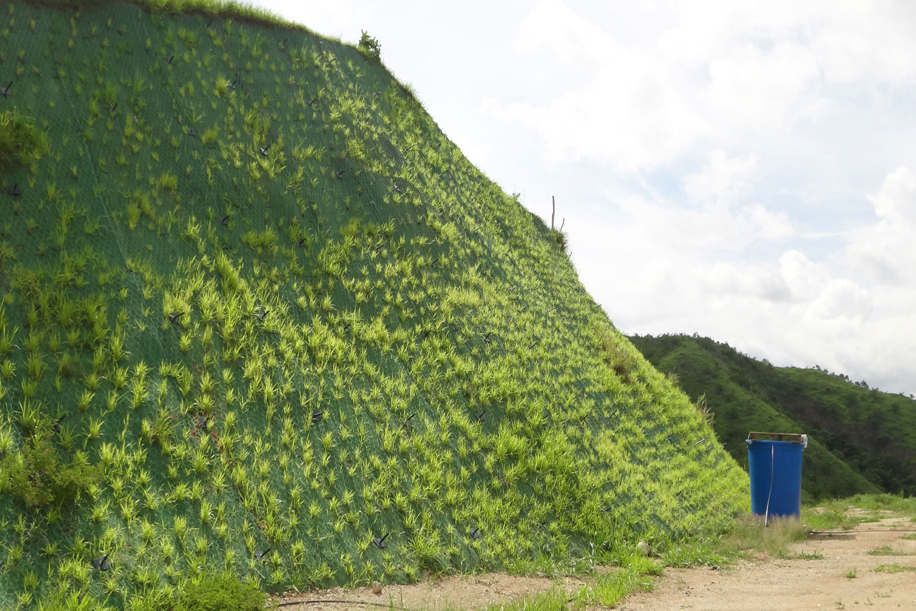 ￼Reforestación de talud estabilizado de 40 m de altura y 130 m de largo, con geomallas metálicas y geomantas verdes ECOGREEN. Fijadas con anclajes pasivos. Cerro El Salto. Tinaco. Estado Cojedes. 2015