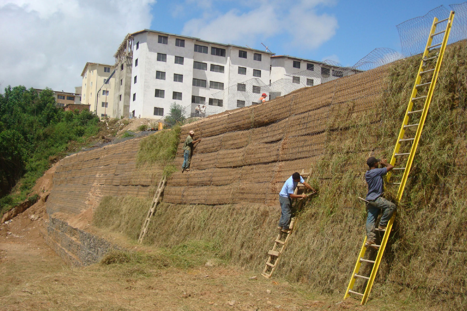 ￼Reforestación de muro reforzado de 12 m de altura, estabilizado con geomallas de refuerzo ECOGREEN, ubicado en La Etapa 5 de La Urb. Alto Verde, Los Teques. Edo. Miranda. 2007