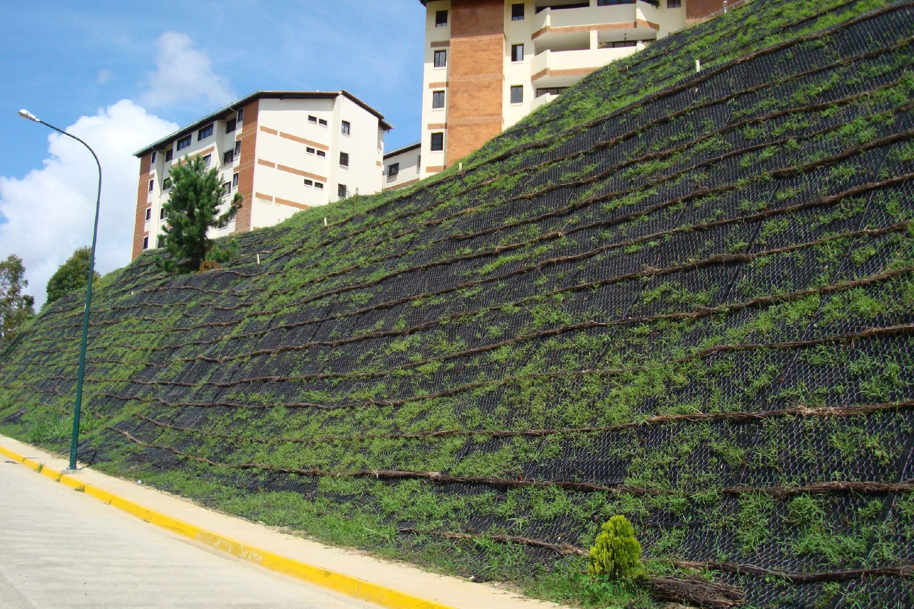 ￼Reforestación de talud estabilizado de 26 m de altura y pendiente pronunciada, sistema de geomantas sintéticas y geomallas metálicas ECOGREEN con anclajes pasivos. Desarrollo Habitacional Bosque Valle. Distrito Capital. 2007