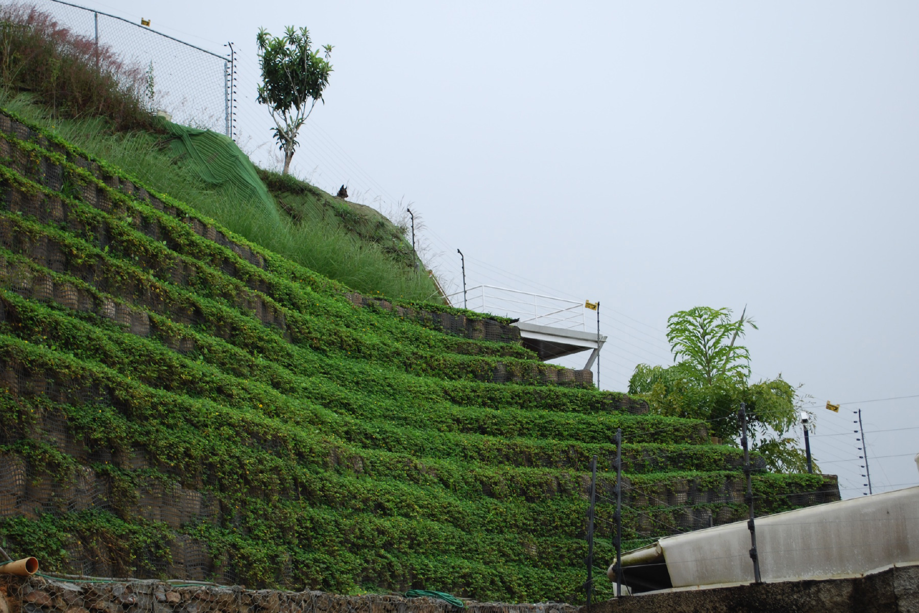 ￼￼Talud de Tierra Reforzada completamente reforestado con pasto wedelia. Urb. Oripoto, Municipio El Hatillo, Edo. Miranda. 2009