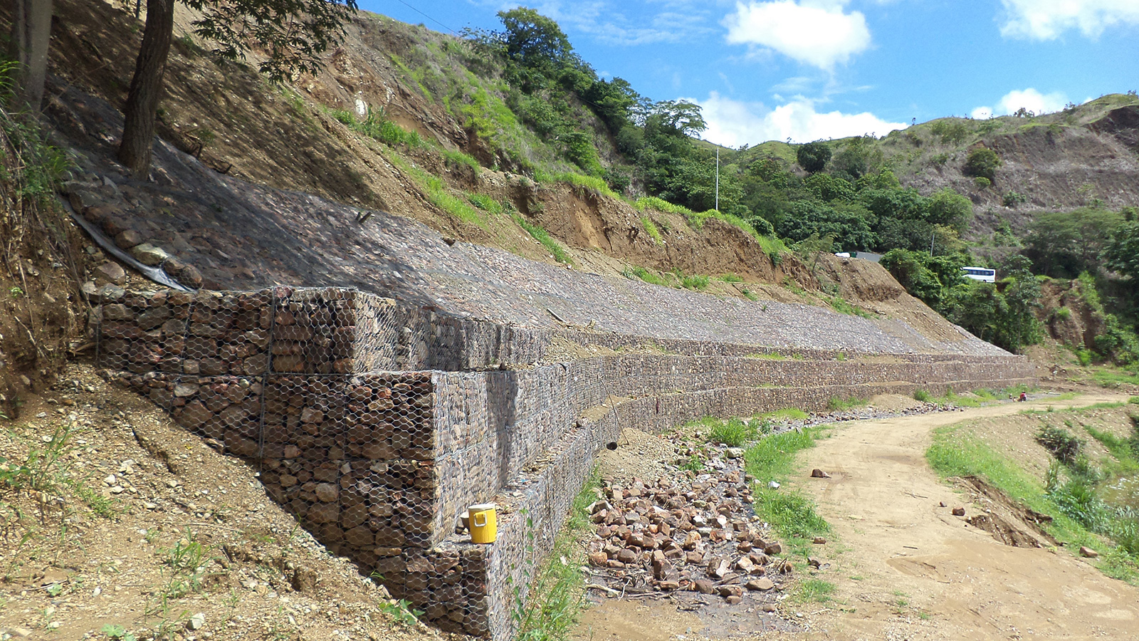 OBRA ECOGREEN #215