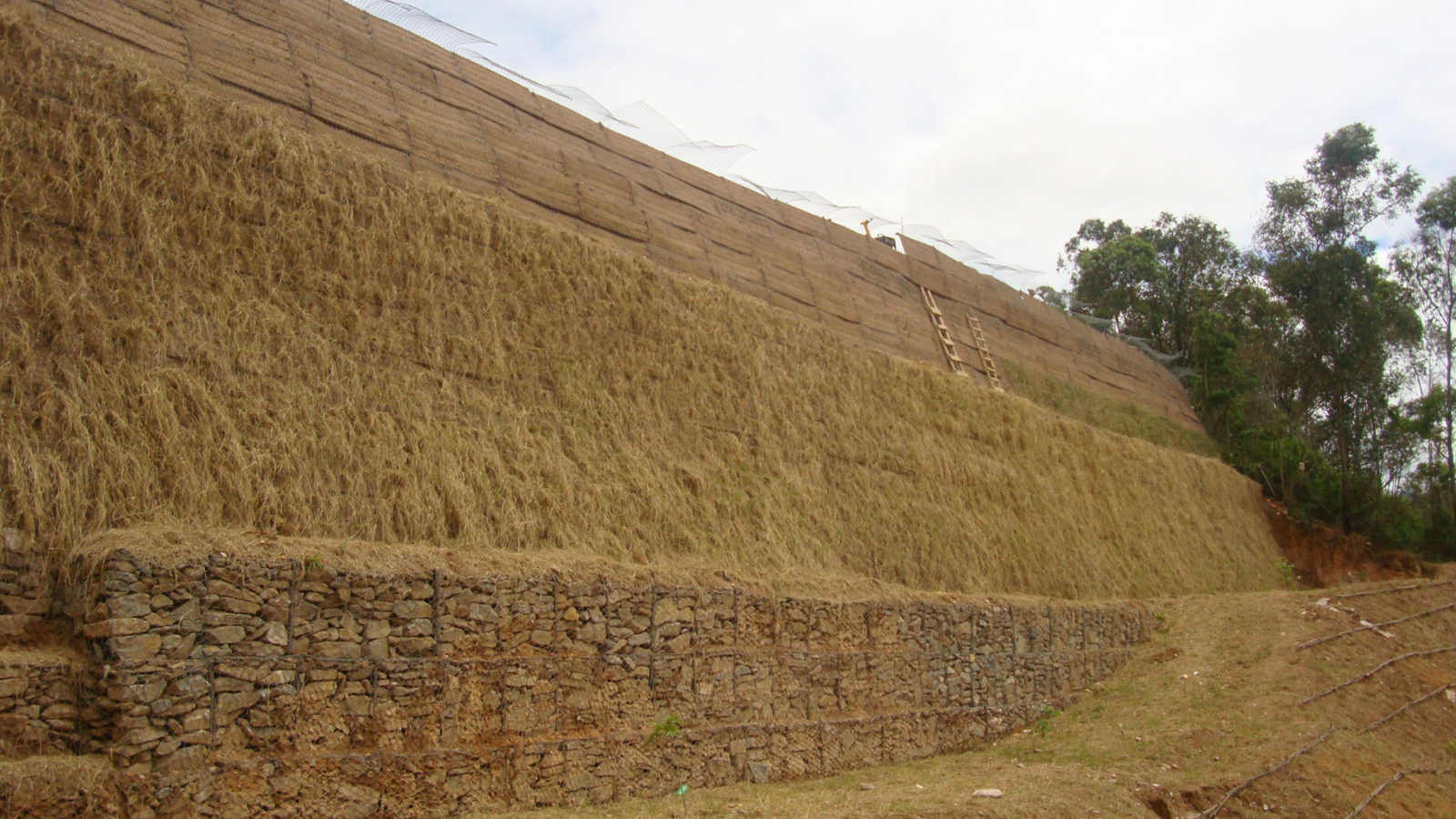 SISTEMAS DE CONTENCIÓN FLEXIBLES SISTEMAS DE CONTENCIÓN FLEXIBLES